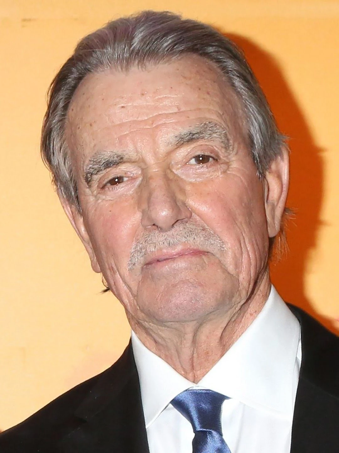 Eric Braeden | Lightstorm Entertainment Wiki | Fandom