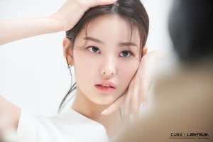 Debut Profile