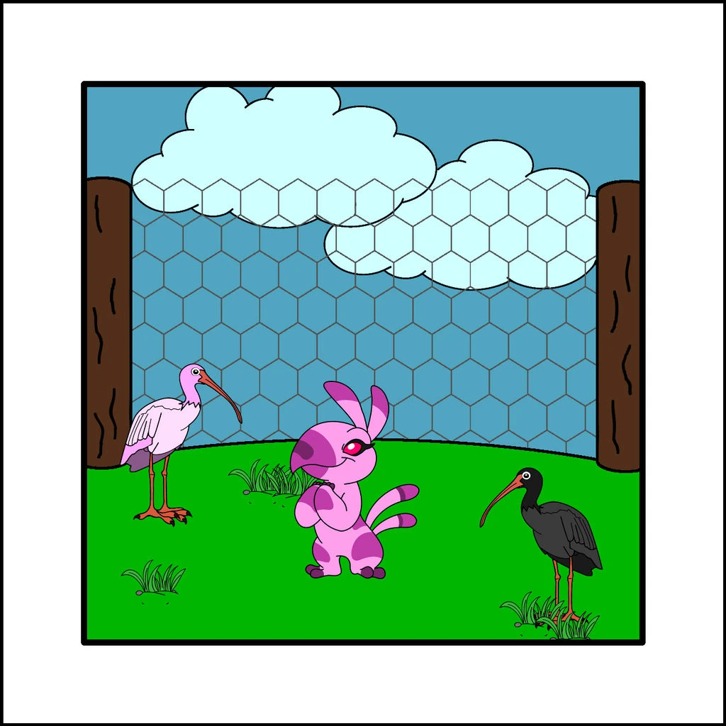 Squawk Lilo and Stitch Wiki Fandom