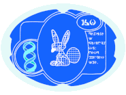 Experiment 160 Rabbit FM