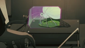 The Glass Window