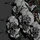 Peccatulum-8005 portrait