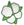 Gossypium
