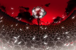 MD Drenched Gossypium