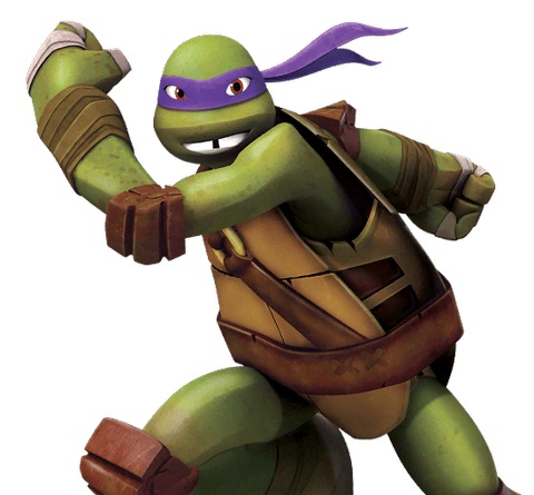 Donatello, Ninja Turtles Fanon Wiki