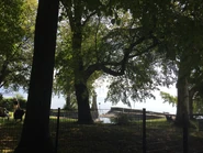 zum Privathafen und der Badestelle