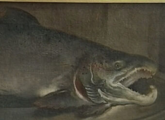 94Lachs.jpg