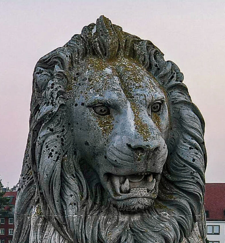 Leo2019cap.jpg