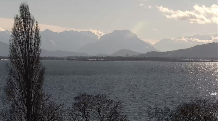 Hier kommt der Rhein rein (aus dem Rheintal in den See)