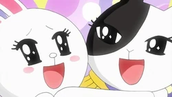 Line Town Line Wikia Fandom