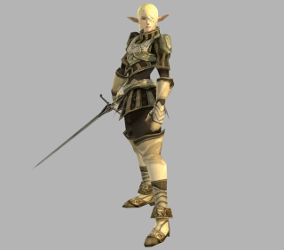 male elven fighter