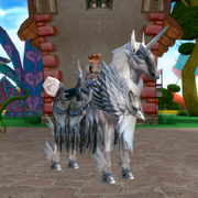 Class mounts.png