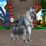 Class mounts