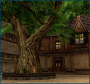 C2myth inn.jpg