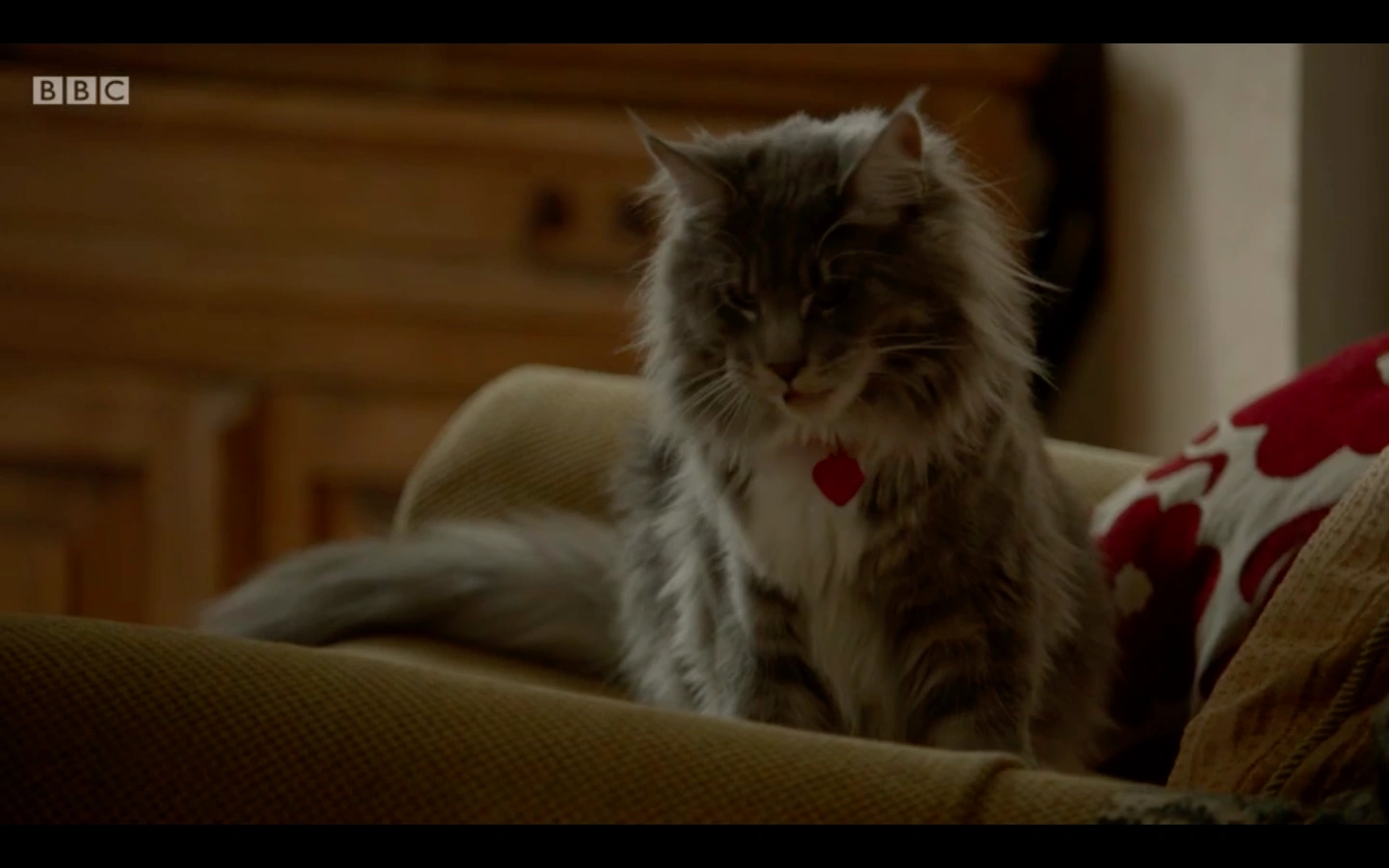 Serra Roma Jewelry, image size:1440x900