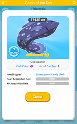 Coelacanth