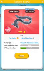 Eel