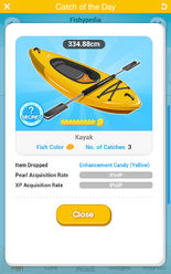 Kayak