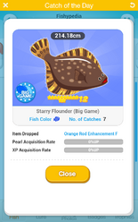 Starry Flounder (Big Game)