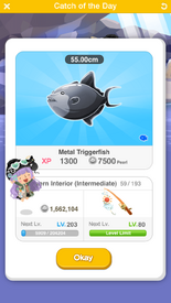 Metal Triggerfish