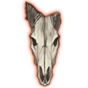 Hartebeest Skull