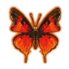 Scarlet Butterfly