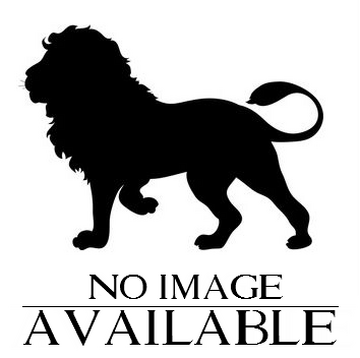 judge clipart black and white lion