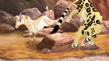 The-golden-zebra (592).png