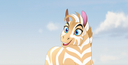 The-Golden-Zebra (528)