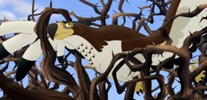 Hadithi in the thorn bush