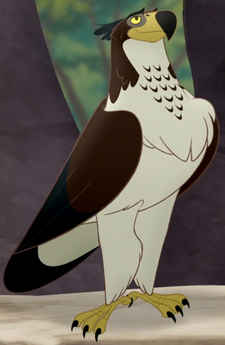 The Lion Guard (African hawk-eagle)