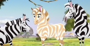 The-Golden-Zebra (287)