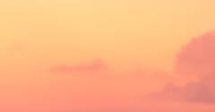 Long-Live-the-Queen (599).png