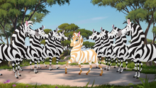 The-golden-zebra (166).png