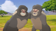 The-lost-gorillas (110).png