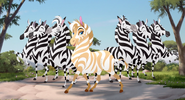 The-Golden-Zebra (214)