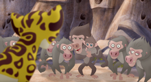 Baboons! (884)