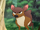 Mouse Deer (character)/Appearances