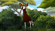 The-Imaginary-Okapi (107)