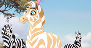 The-Golden-Zebra (463)