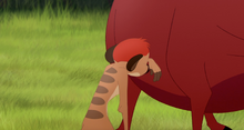 Timon-and-Pumbaa's-Christmas (225)