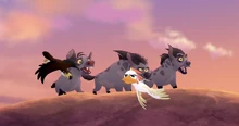 Dizzying the hyenas