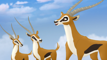 The-Mbali-Fields-Migration (271)