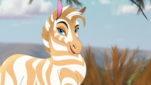 The-golden-zebra (152)