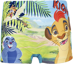 Lion guard 2025 slippers