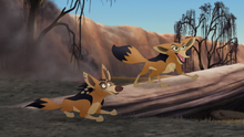 The-kilio-valley-fire (211).png