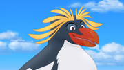 Pinguino Appearances.png