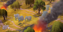 The-Kilio-Valley-Fire (49)