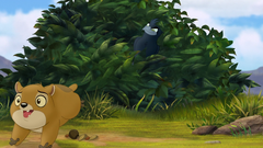 A hyrax runs away from Tamaa