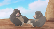 The-Lost-Gorillas (264)